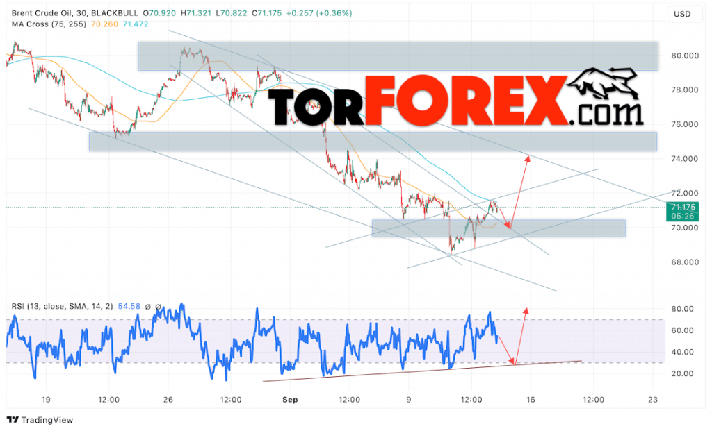 Нефть прогноз цены Brent на 13 сентября 2024