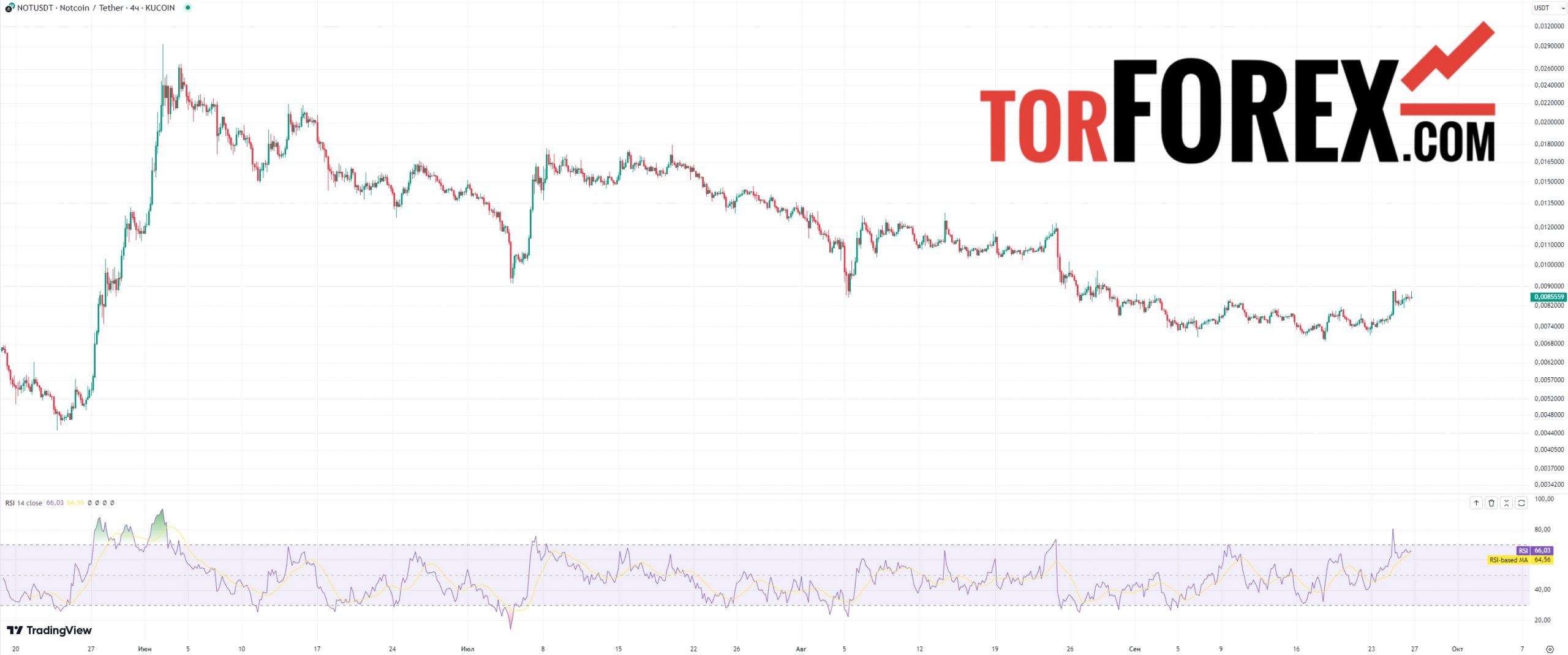 прогноз цены ноткоин