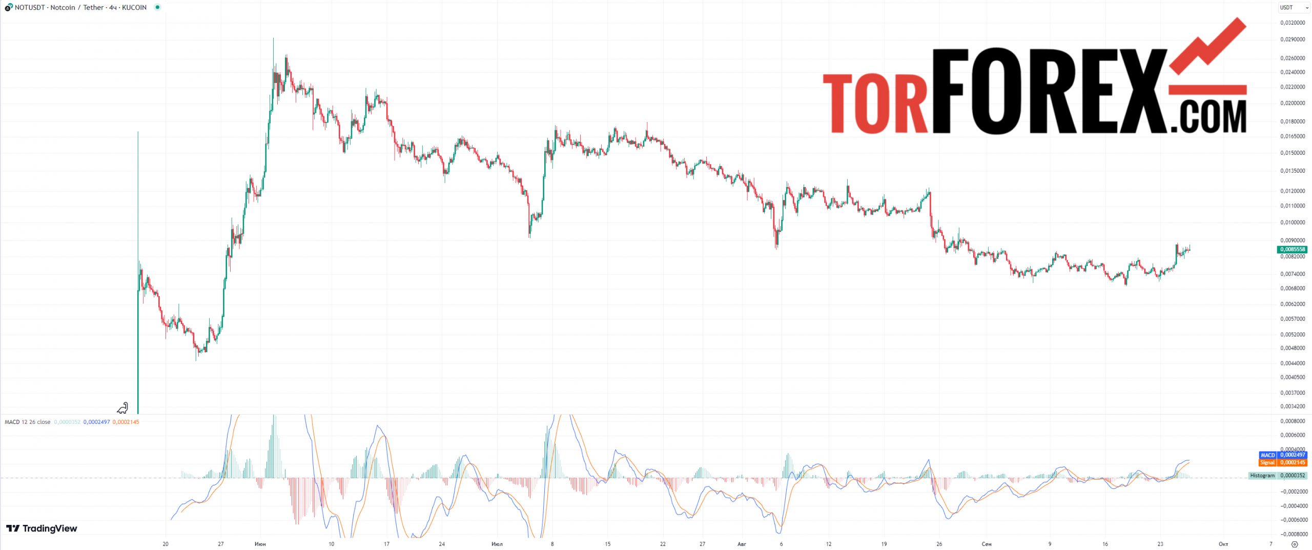 not coin прогнозы