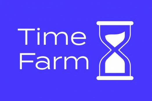 Обновленное комбо в Time Farm на 24 сентября