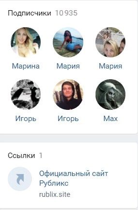 Подписчики в ВК проекта Rublix