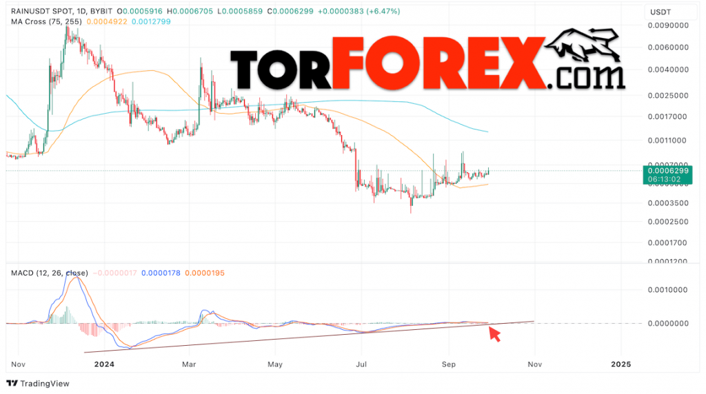 Прогноз цены RAIN с индикатором MACD