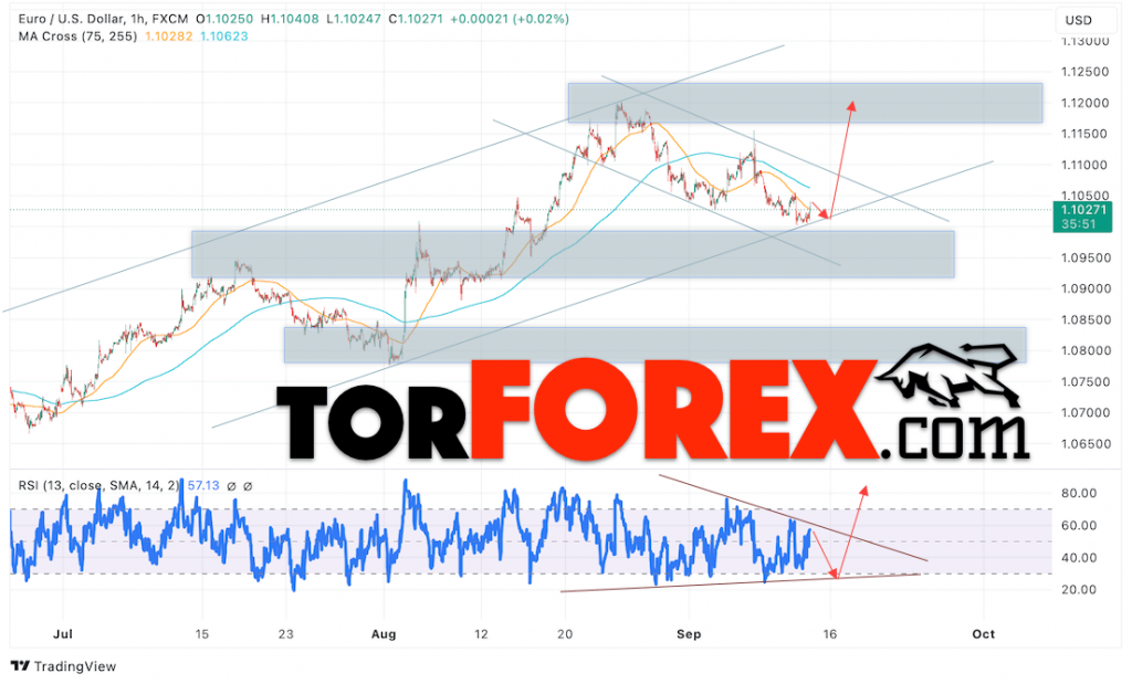 Прогноз Евро Доллар EUR/USD на 13 сентября 2024