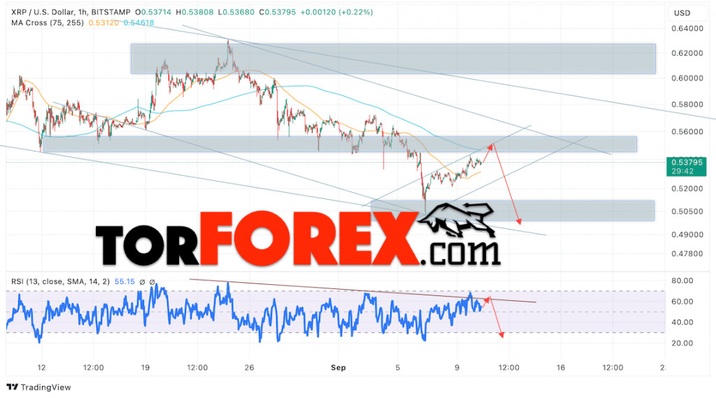 Прогноз XRP/USD на 11 сентября 2024