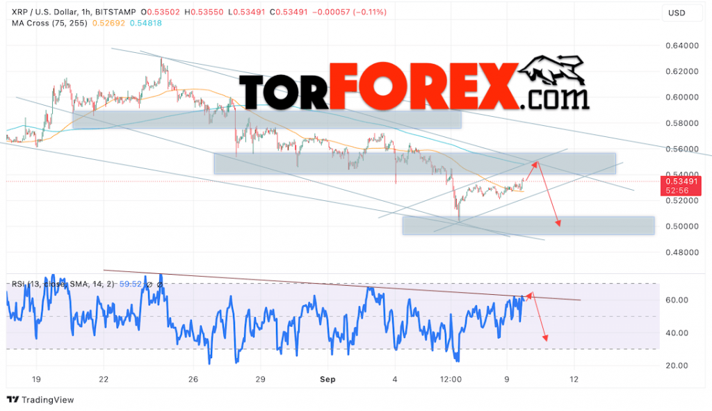 Прогноз XRP/USD на неделю 10 сентября 2024