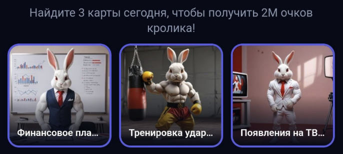 Rocky Rabbit 14 сентября