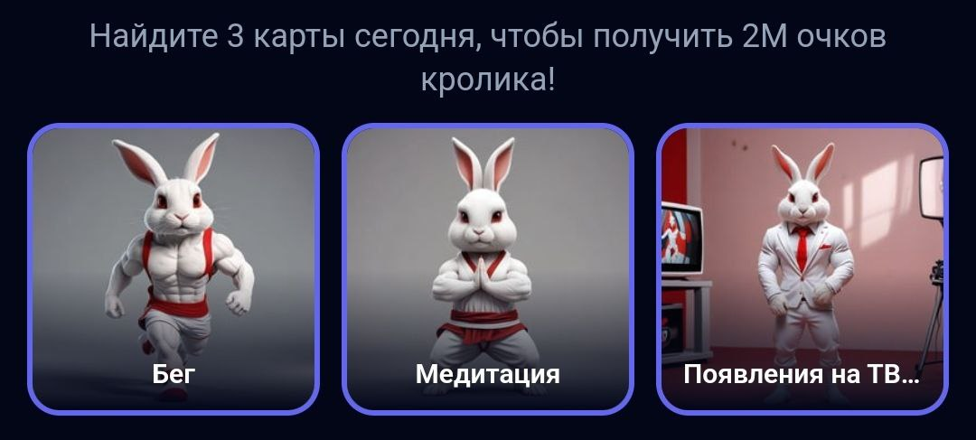 Rocky Rabbit комбо 12 сентября