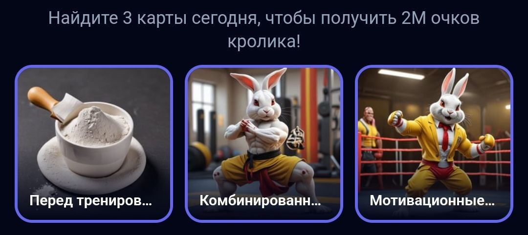 Rocky Rabbit комбо 13 сентября