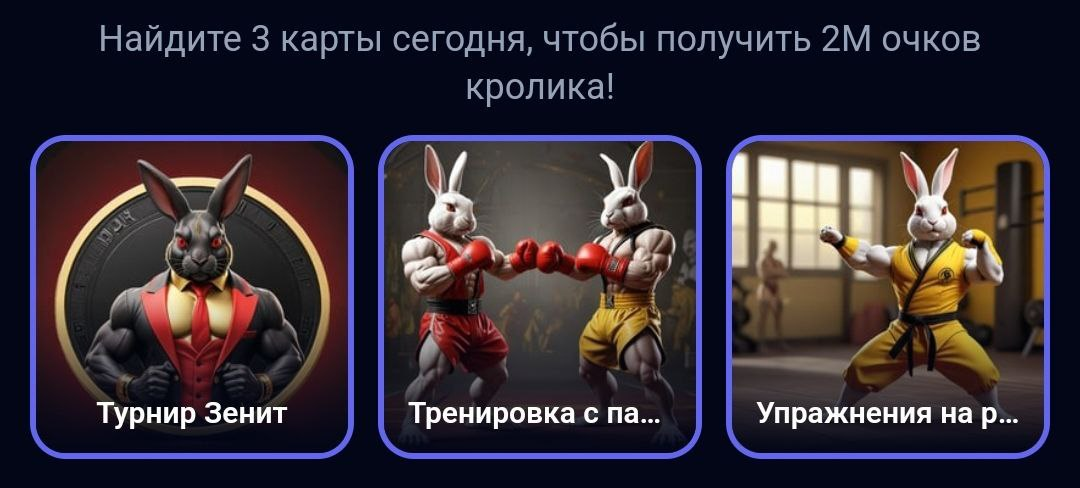 Rocky Rabbit комбо 16 сентября