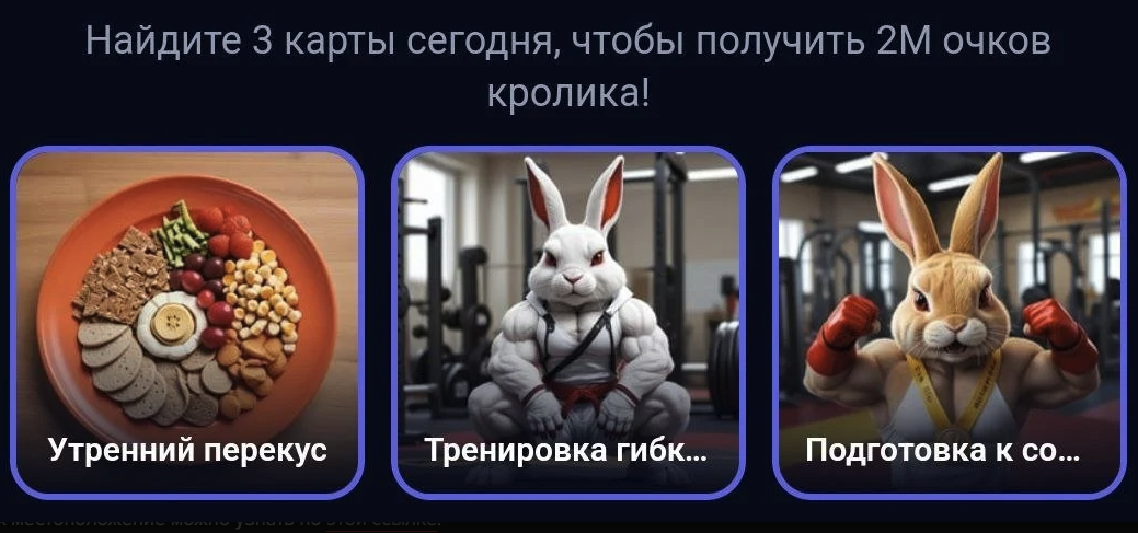 Rocky Rabbit комбо 18 сентября