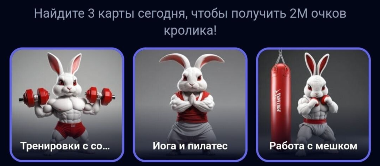 Rocky Rabbit комбо 19 сентября