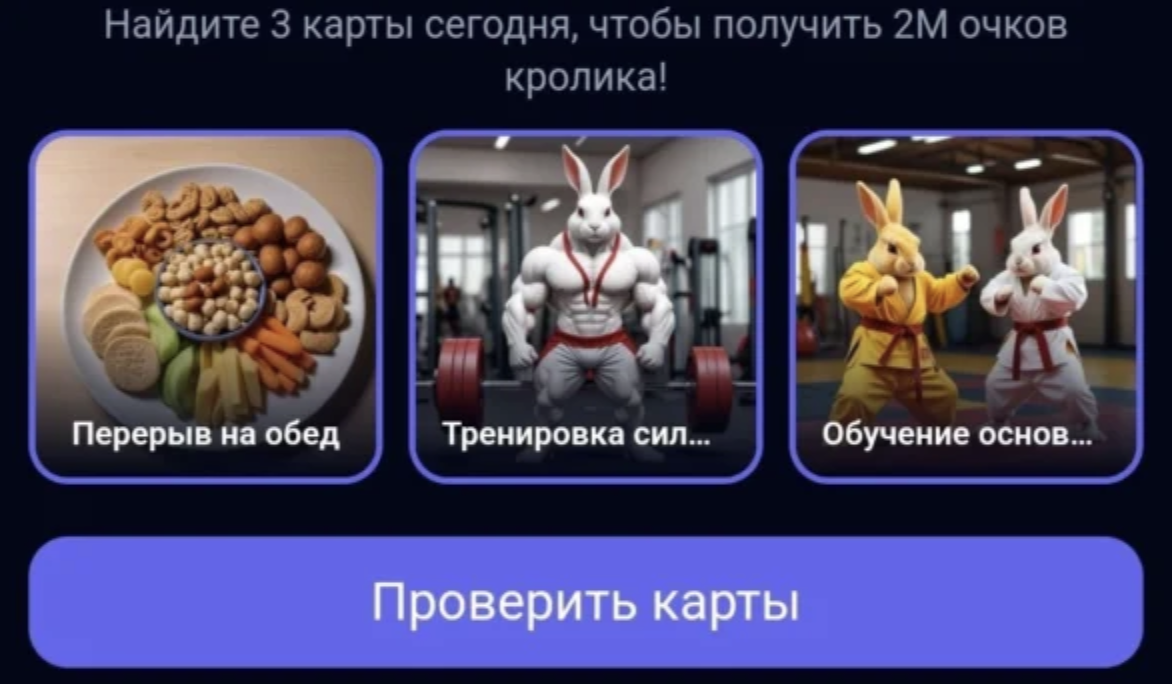 Rocky Rabbit за 3 сентября