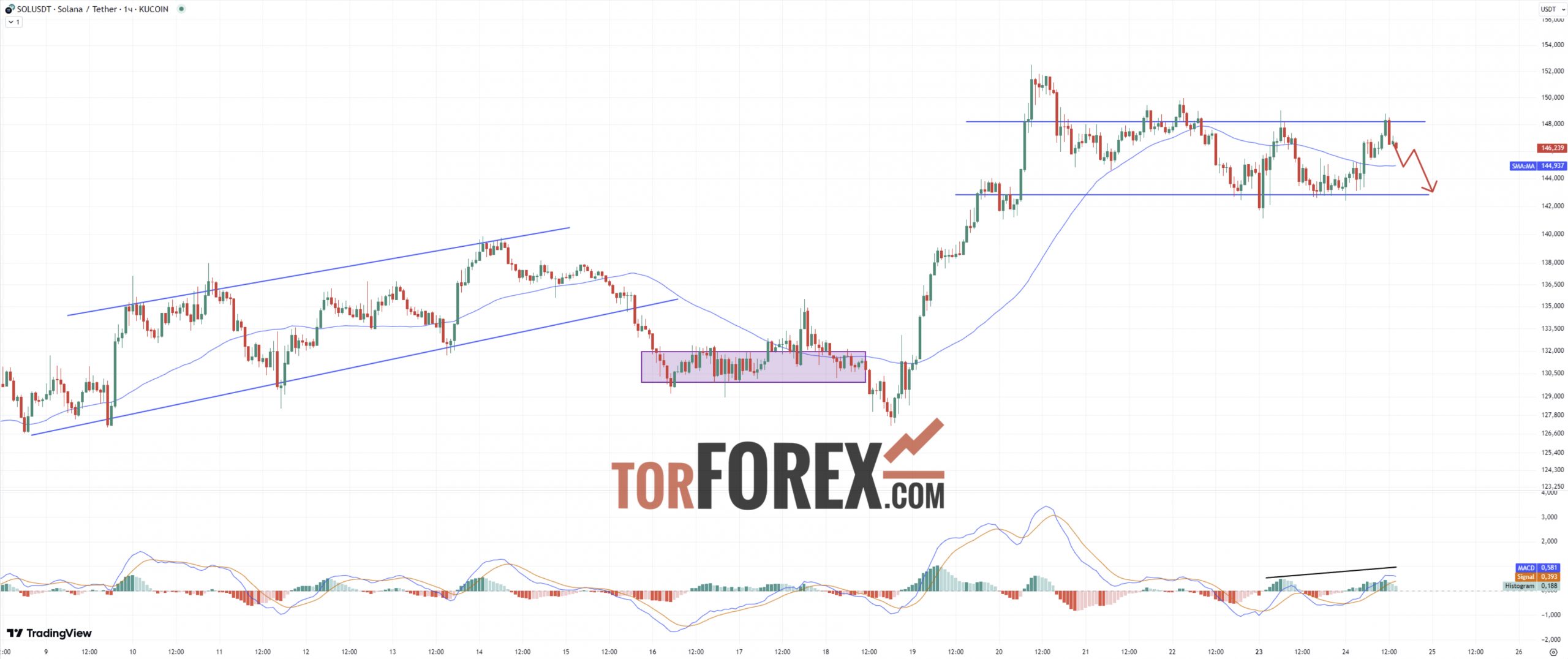 Солана прогноз SOL/USD на 24 сентября 2024