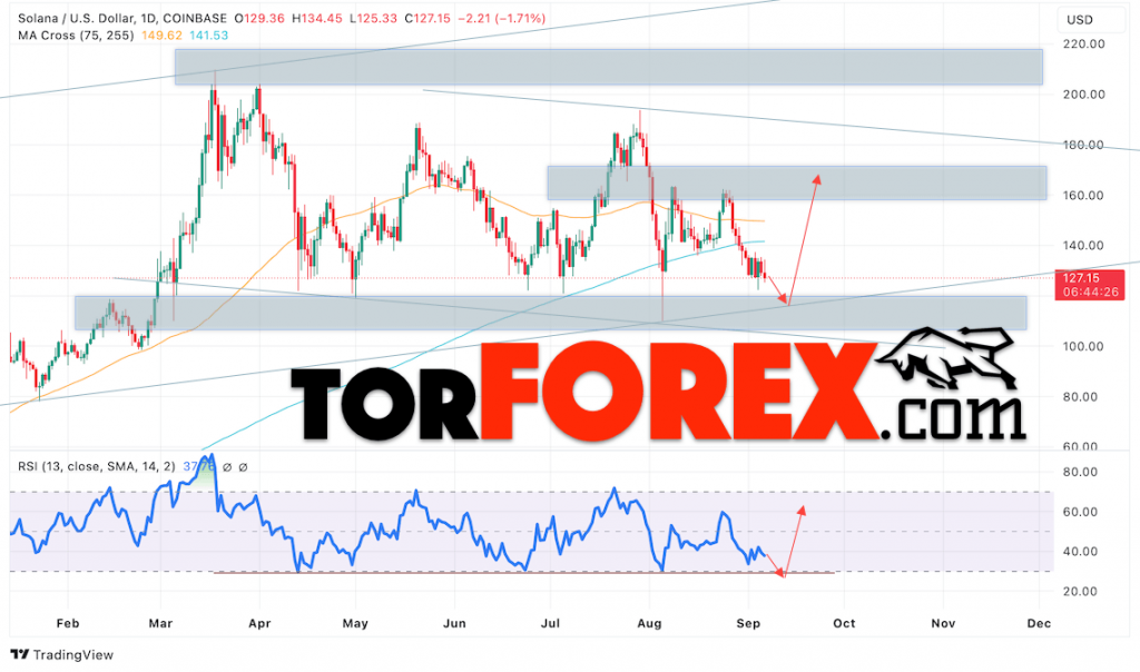 Solana прогноз SOL/USD на 9 — 13 сентября 2024