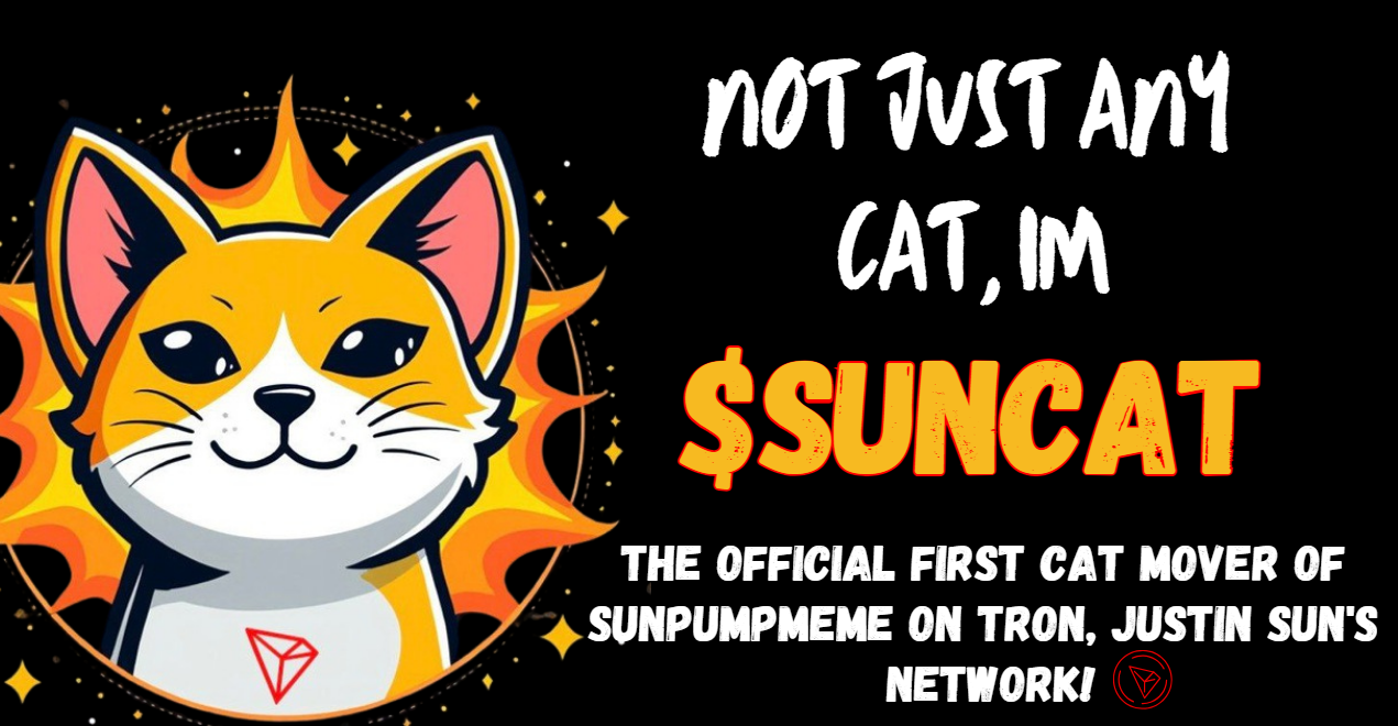 suncat мемкоин