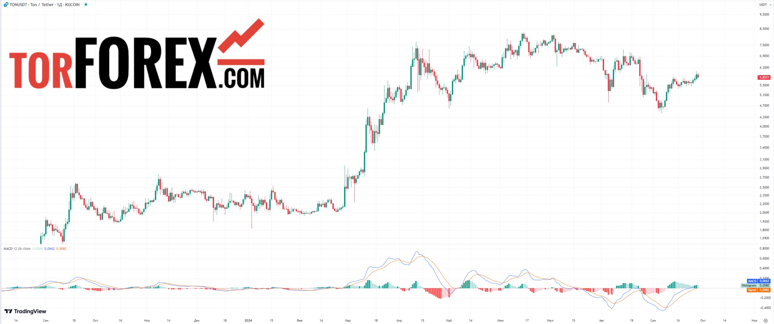 тон коин цена прогноз macd