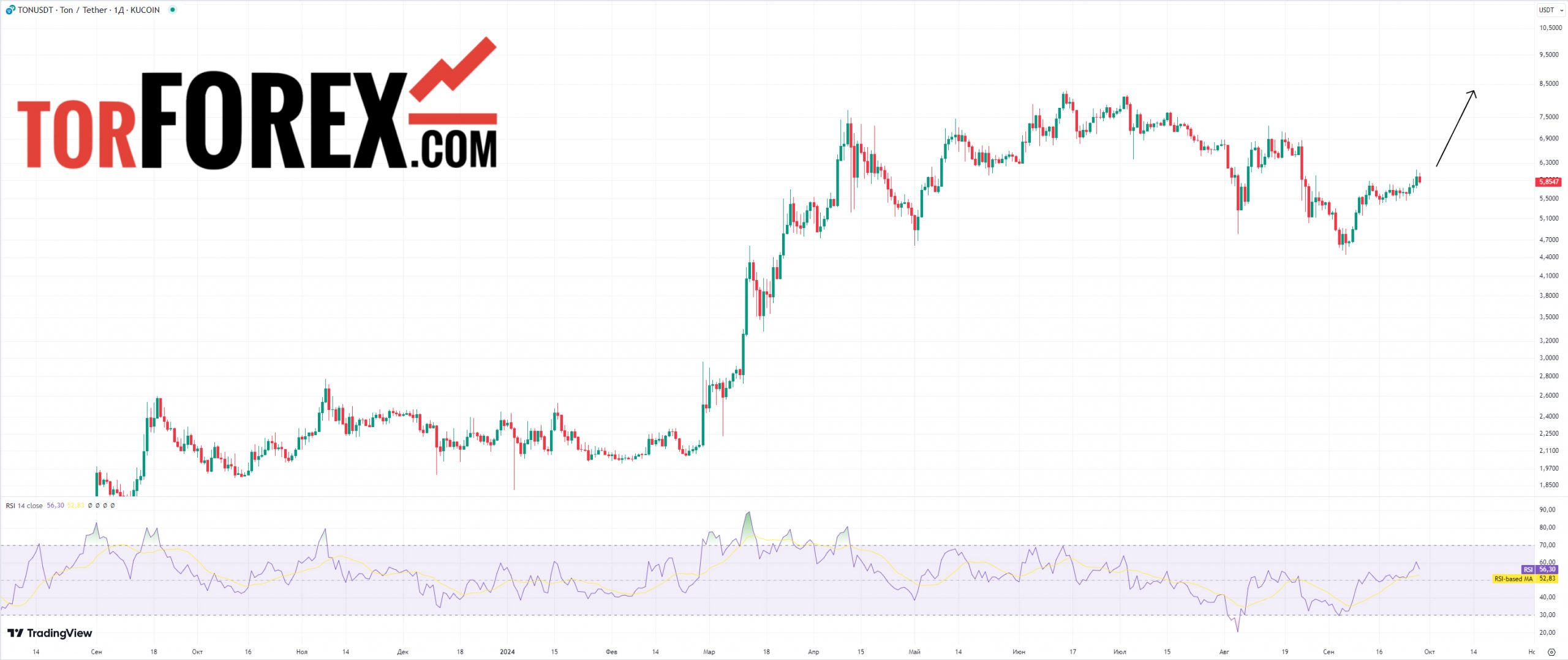 тон коин цена прогноз rsi