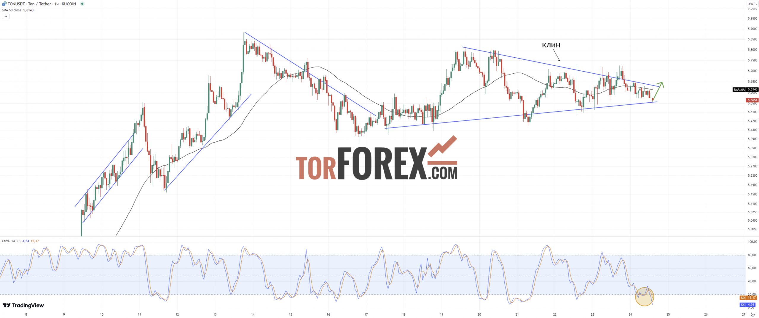 Прогноз TON/USD на 24 сентября 2024