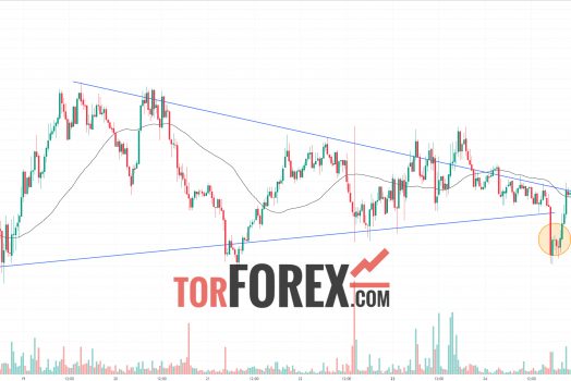 Тонкоин прогноз TON/USD на 25 сентября 2024