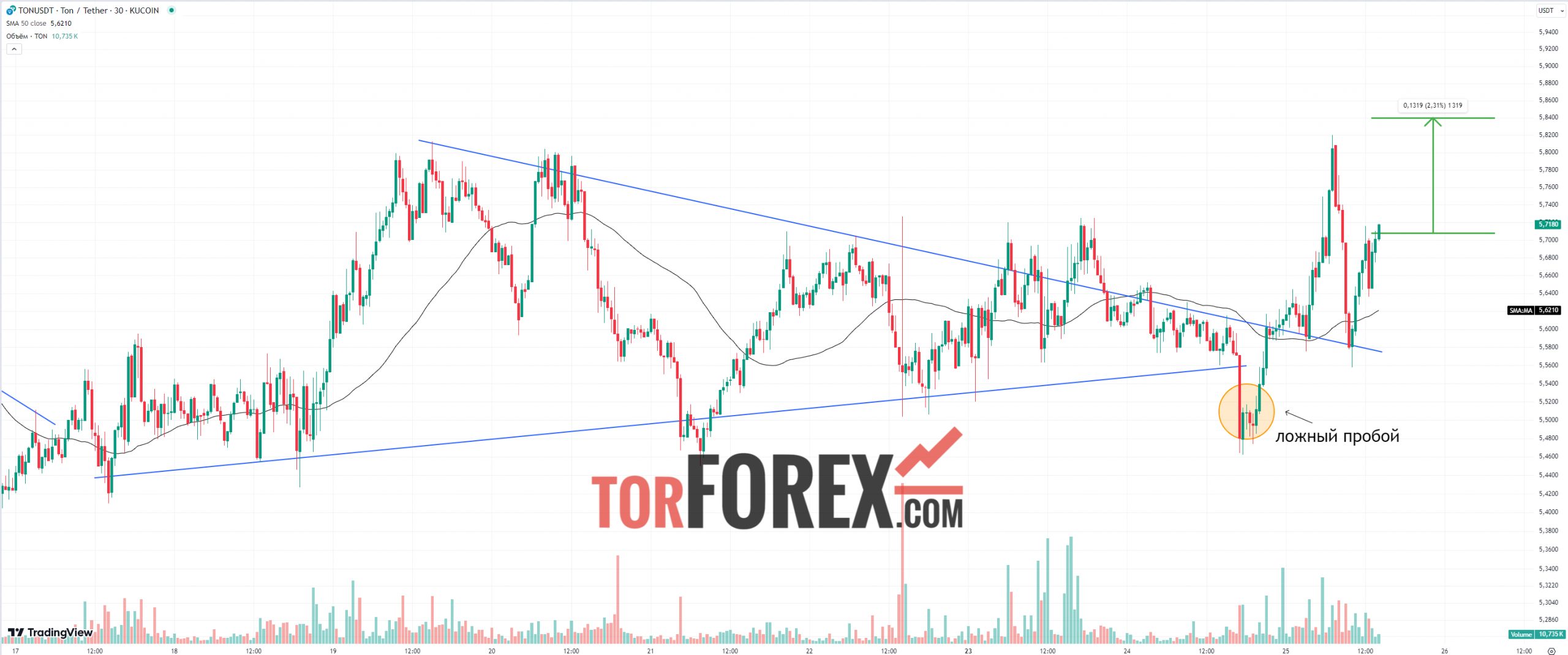 Тонкоин прогноз TON/USD на 25 сентября 2024