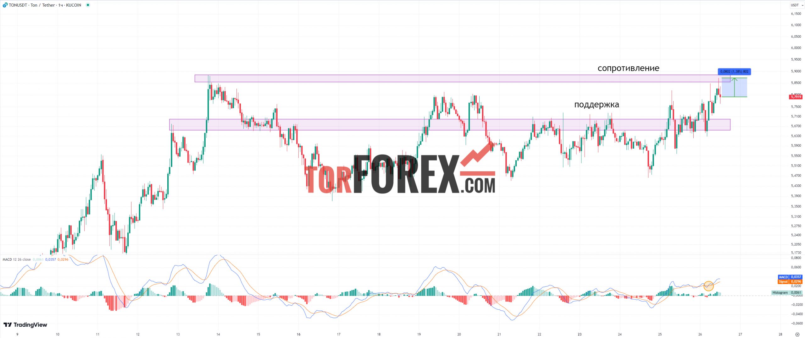 Toncoin прогноз TON/USD на 26 сентября 2024