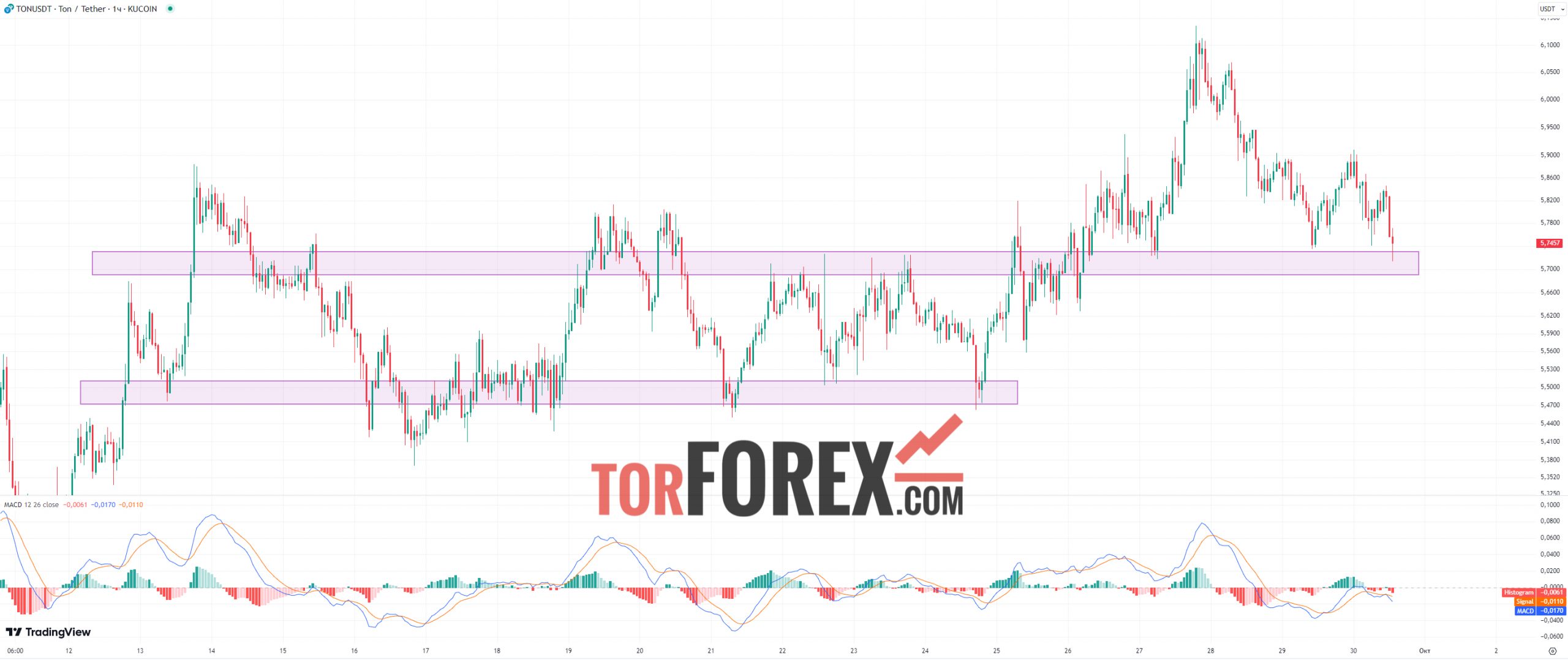 Toncoin прогноз TON/USD на 30 сентября 2024