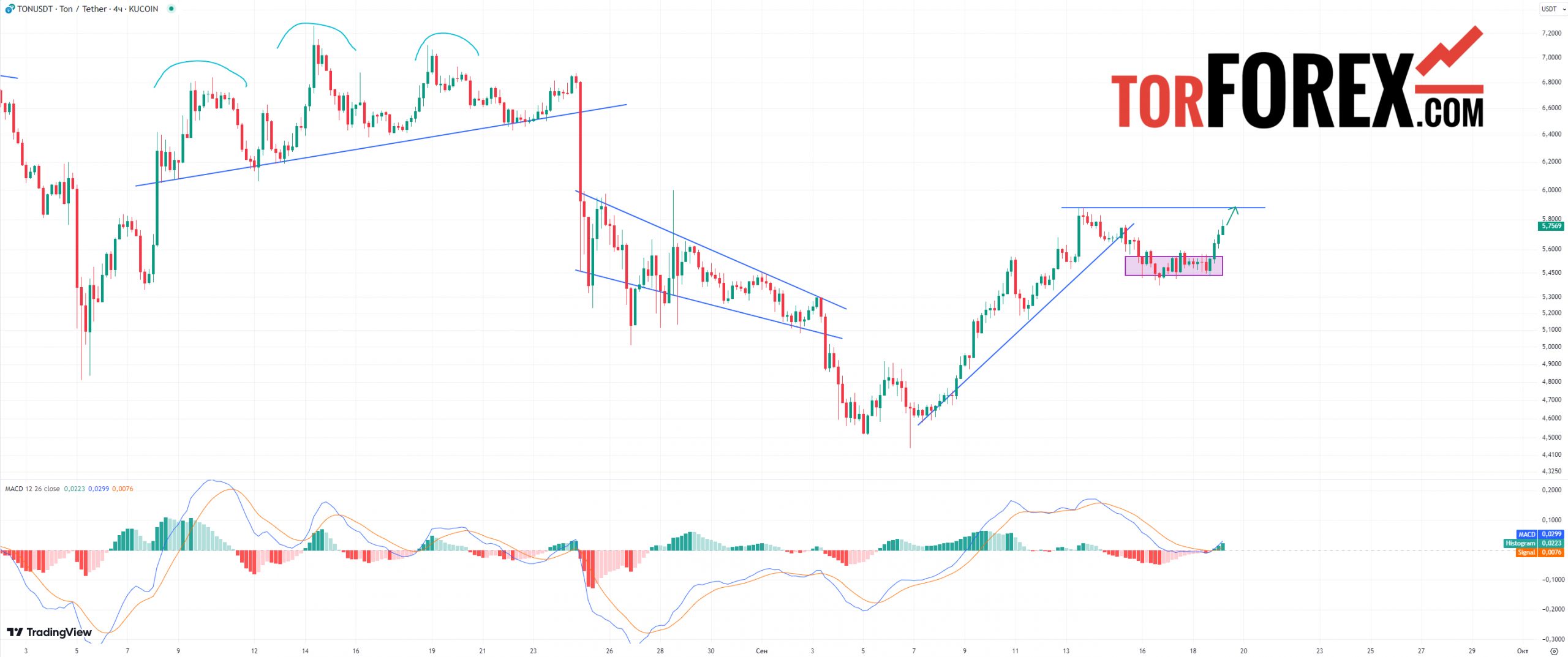 ton usdt прогноз на сегодня