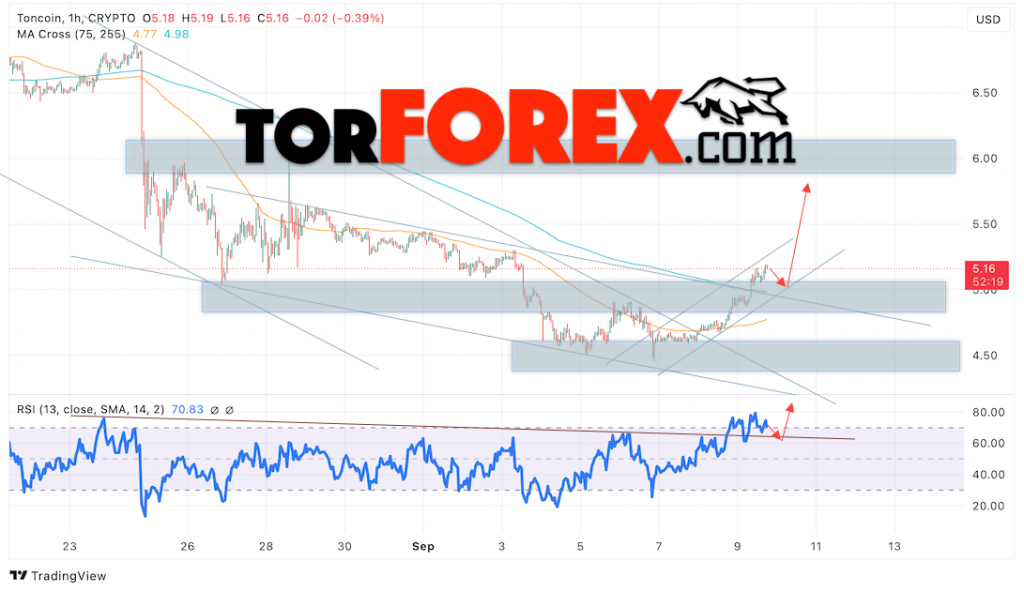 Toncoin прогноз TON/USD на 10 сентября 2024