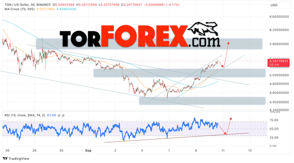 Toncoin прогноз TON/USD на 11 сентября 2024