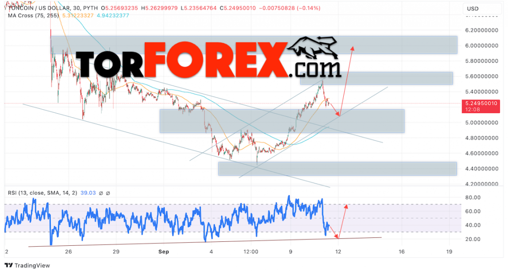 Toncoin прогноз TON/USD на 12 сентября 2024