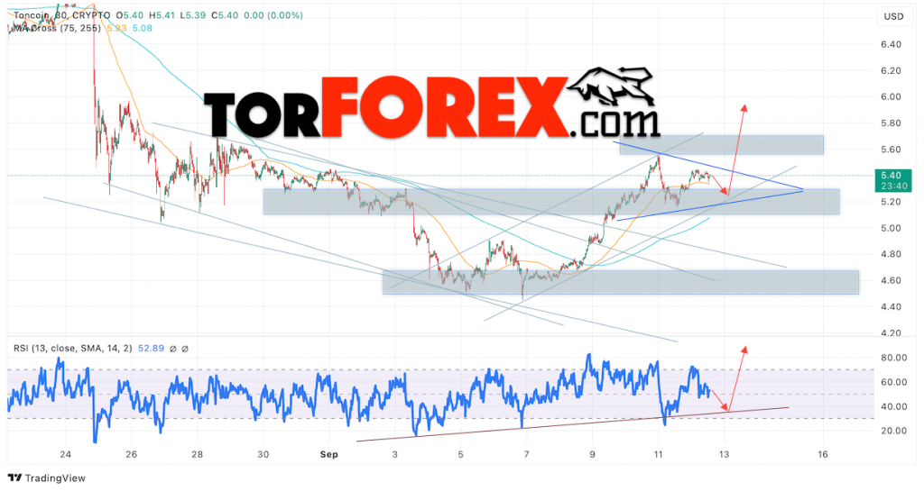 Toncoin прогноз TON/USD на 13 сентября 2024