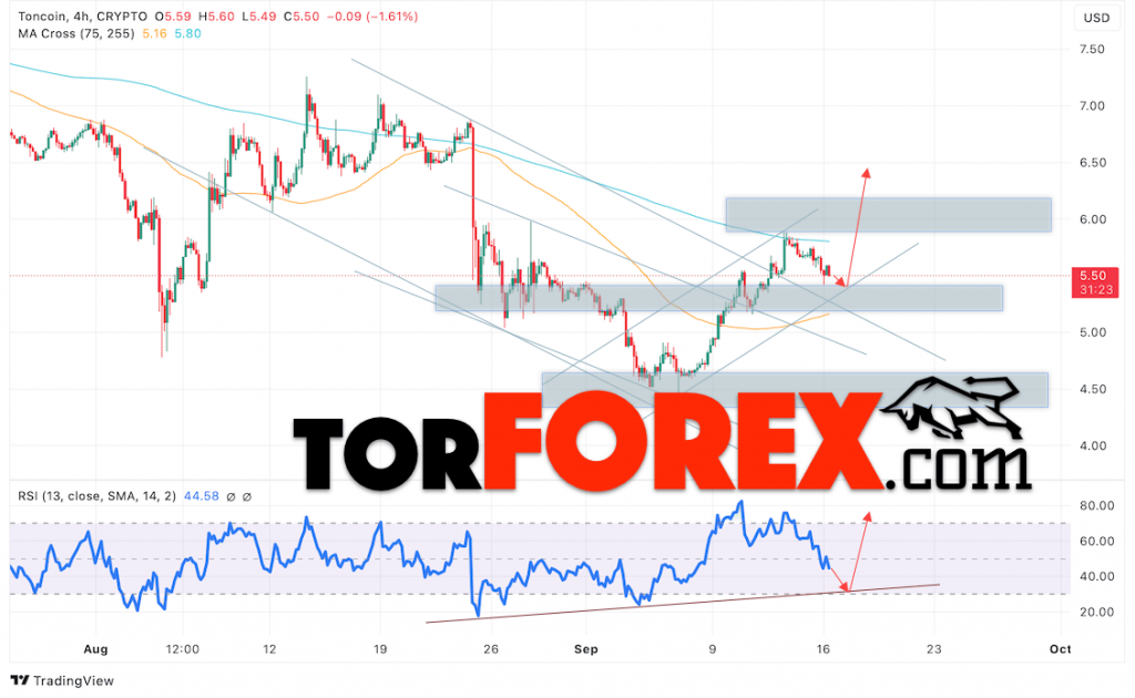 Toncoin прогноз TON/USD на 17 сентября 2024