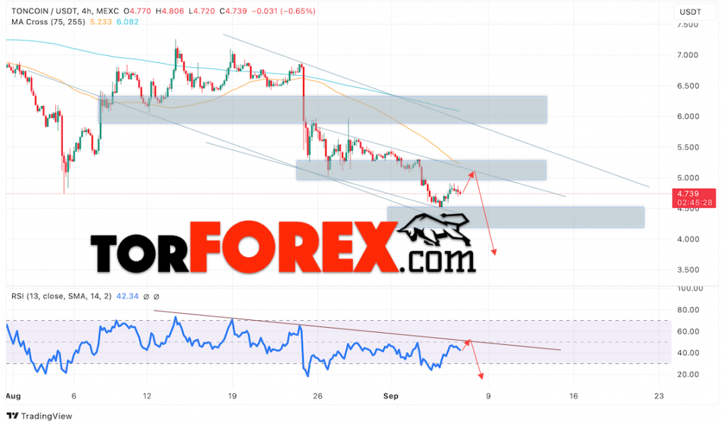 Toncoin прогноз TON/USD на 9 — 13 сентября 2024