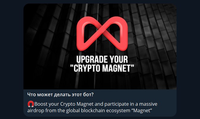 crypto magnet