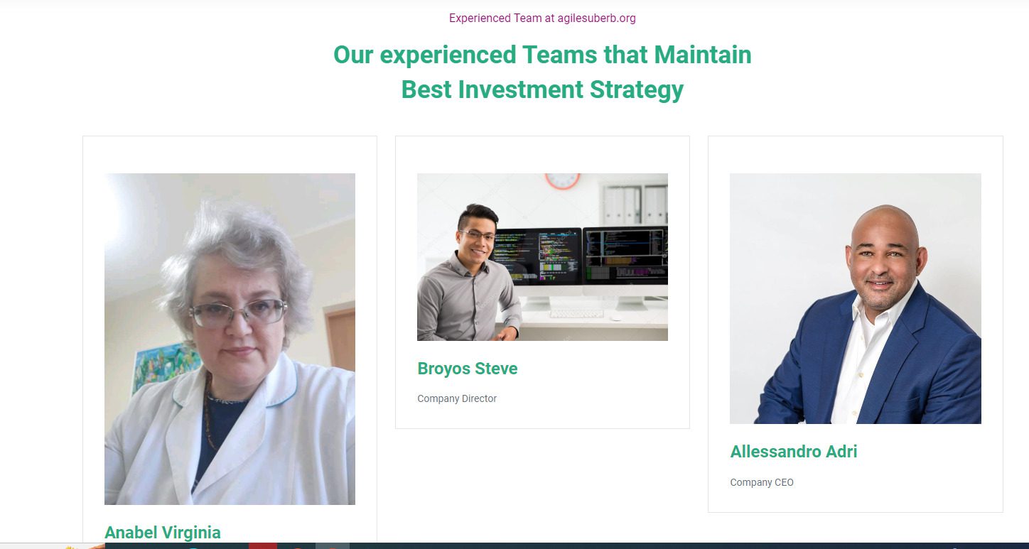 Условия сотрудничества на платформе брокера Agilesuberb