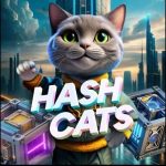 Комбо, Staking Cipher и код карт в игре Hash Cats 10 октября 2024 года