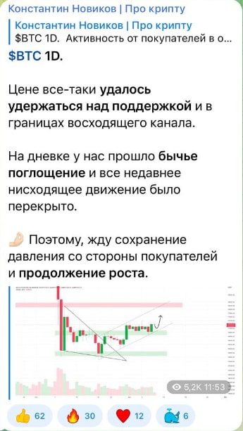 Константин Новиков телеграмм