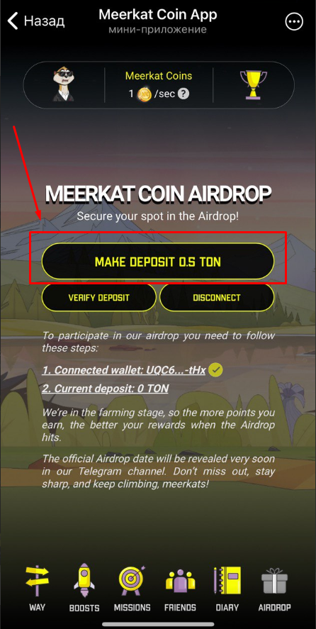 meerkat coin