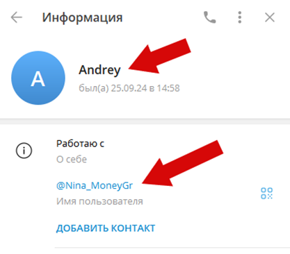 money nina finance телеграмм