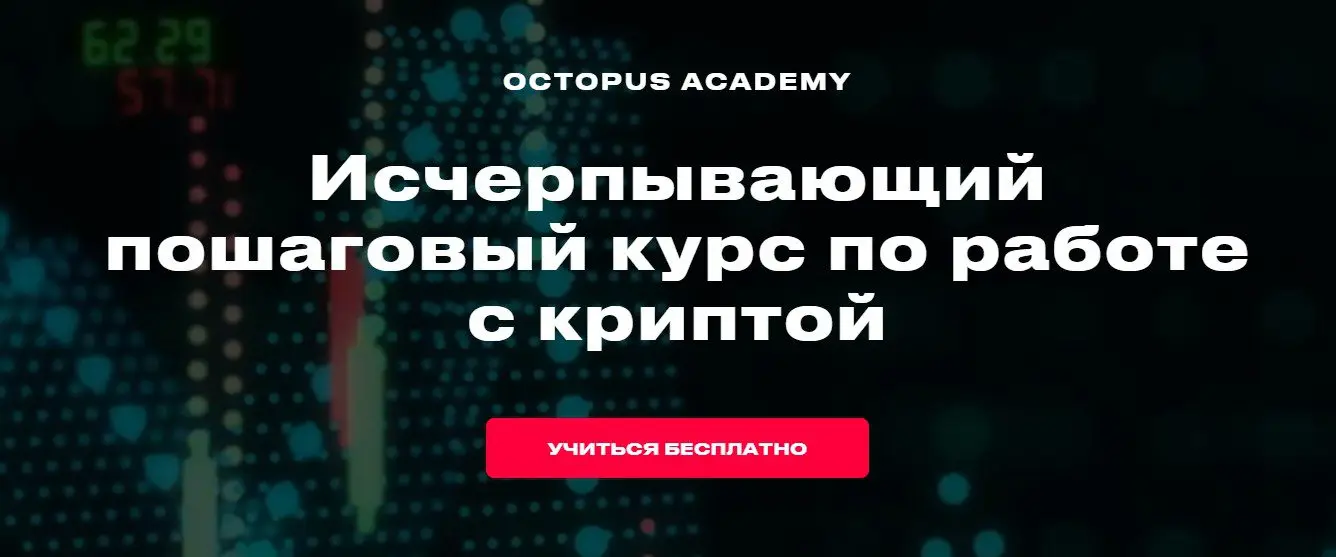 octopus academy отзывы