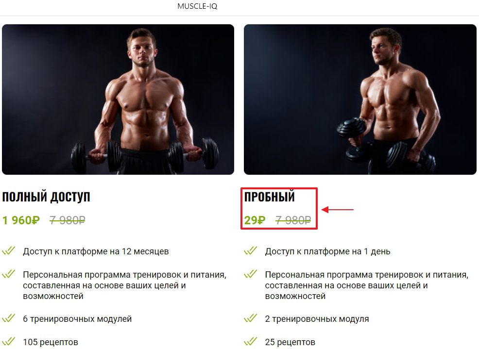 Отзывы инвесторов о платежной системе Pikassa