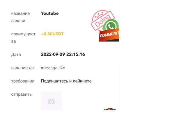 Проверка In Touch Advertising (Media)