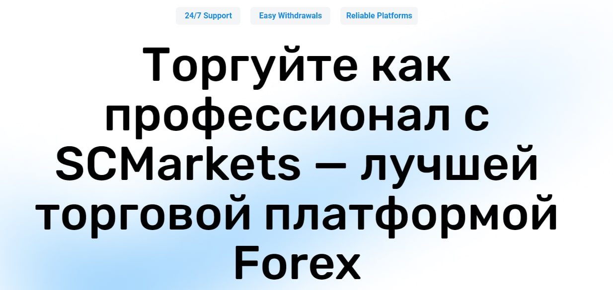 Проект ScMarkets
