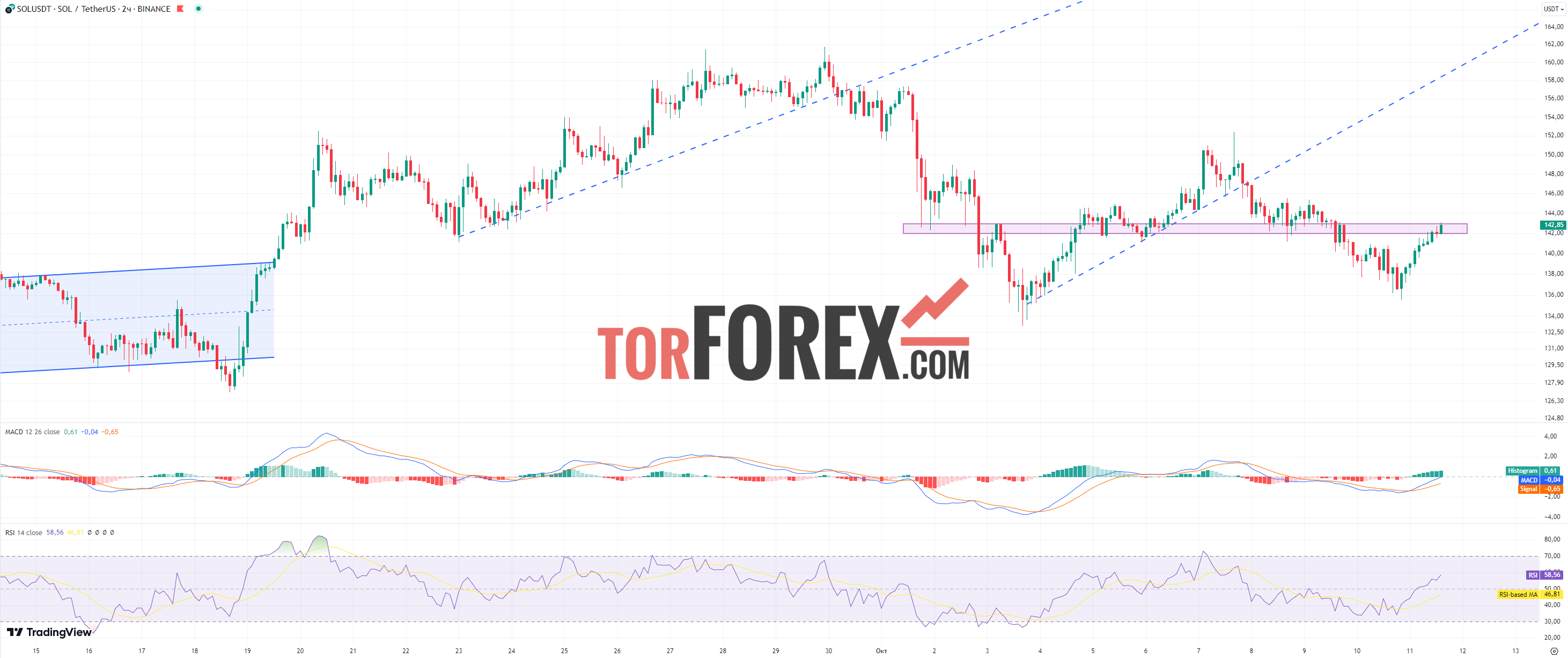 Solana прогноз SOL/USD на 11 октября 2024