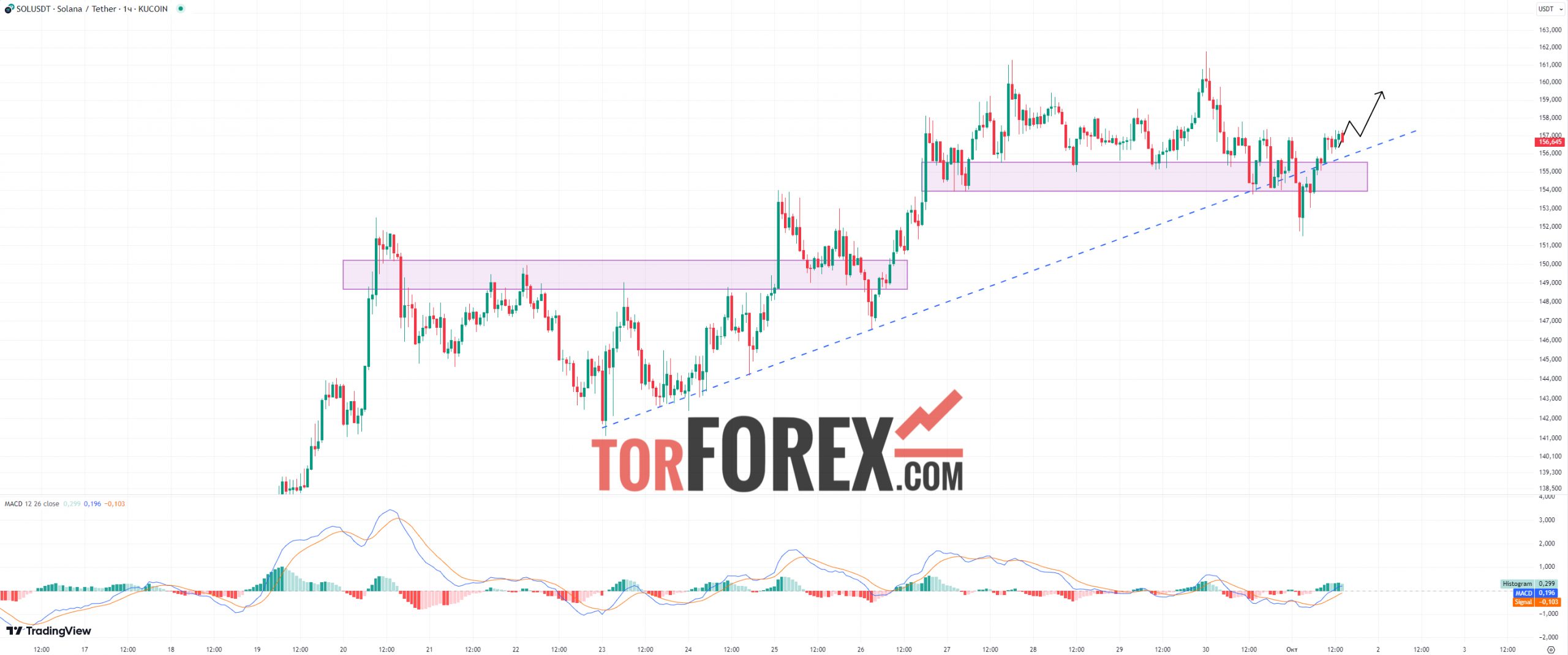 Solana прогноз SOL/USD на 1 октября 2024