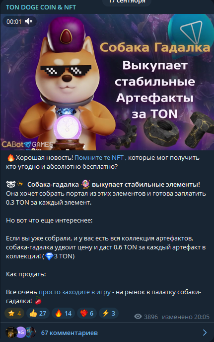 ton doge coin