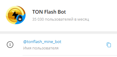 ton flash bot