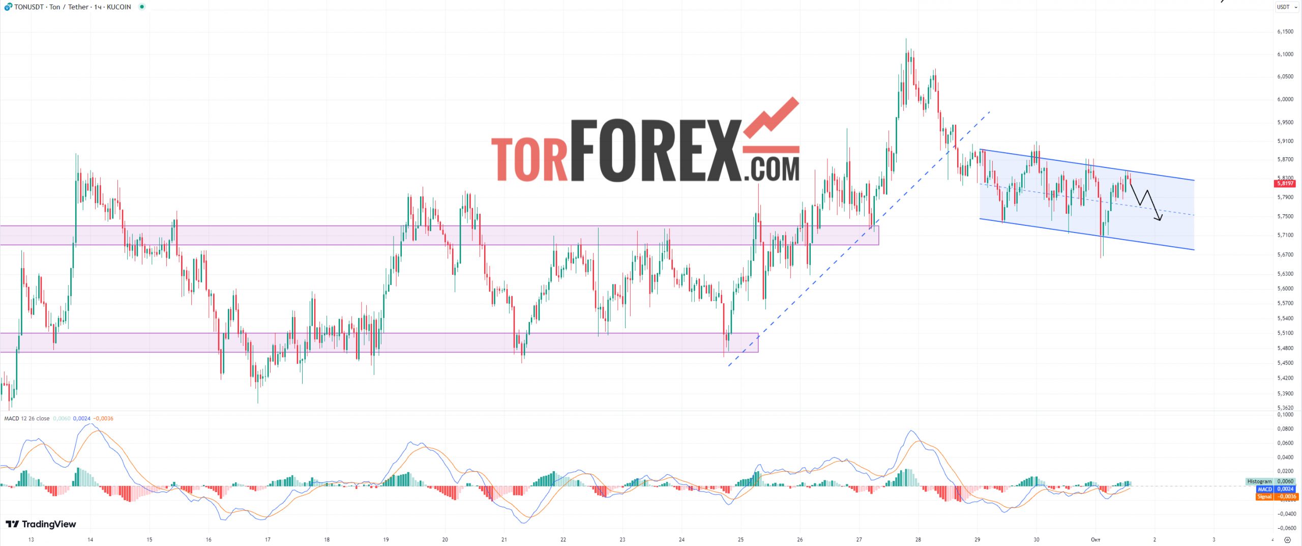 Toncoin прогноз TON/USD на 1 октября 2024