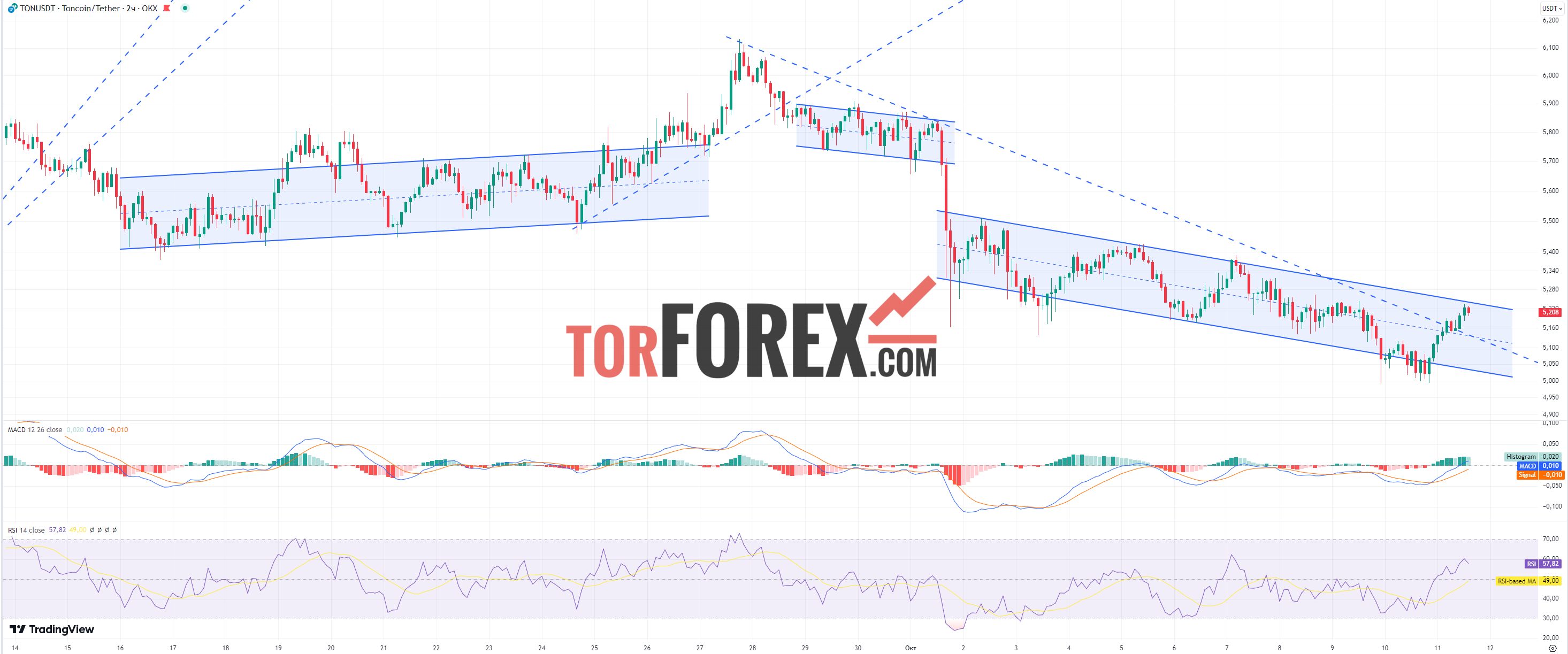 Toncoin прогноз TON/USD на 11 октября 2024