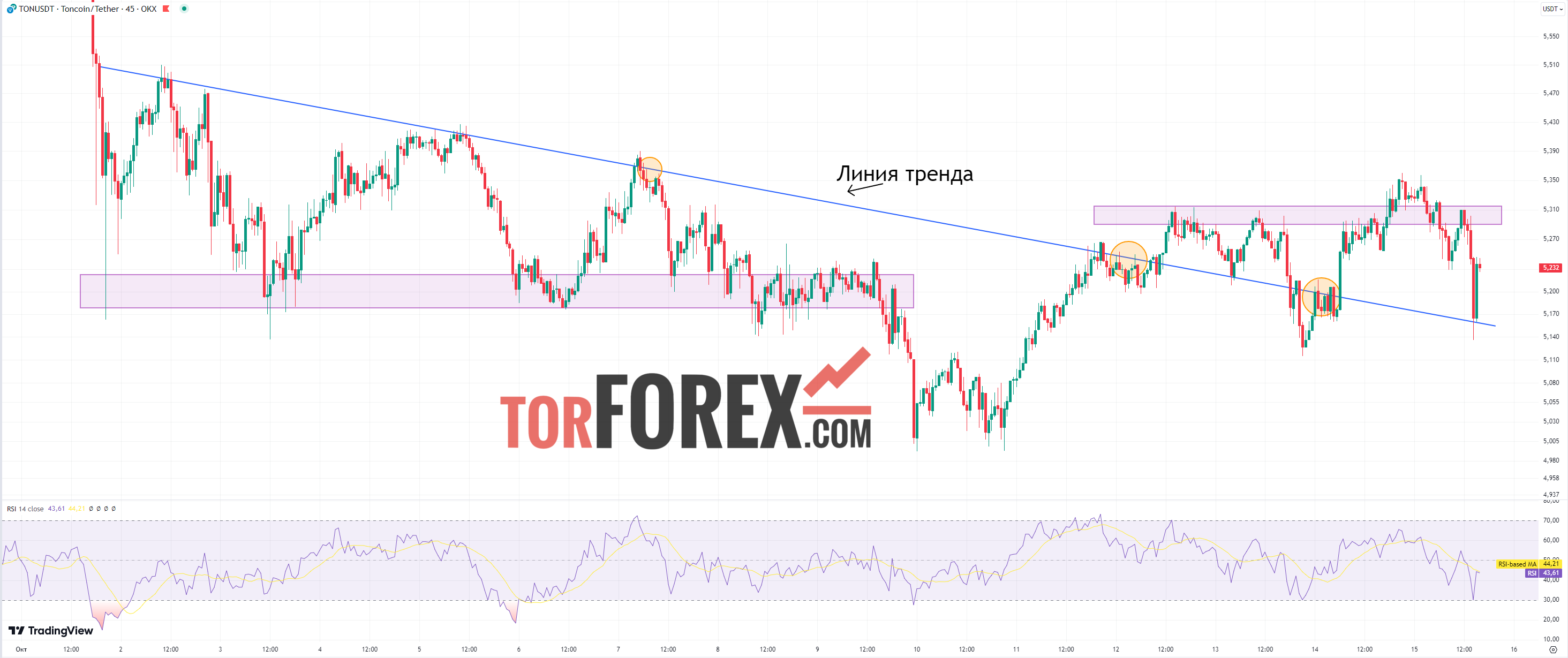 Toncoin прогноз TON/USD на 15 октября 2024